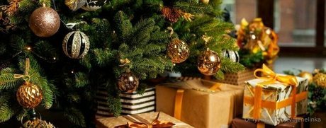 tvojenelinka nudes pornstar image