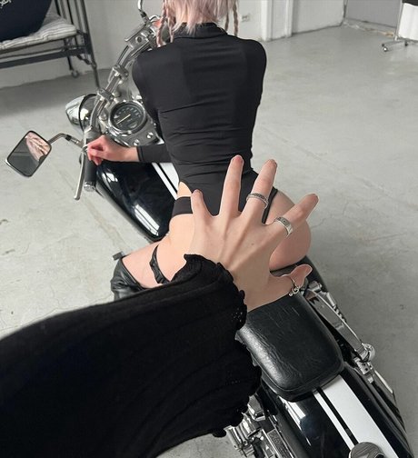 Tero star best gallery