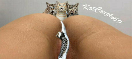 katcouple69 pornstar sex archive