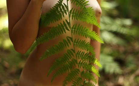 Maiiswall pornstar nice archive