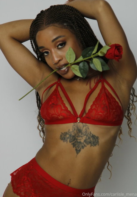 imenacarlisle star top img