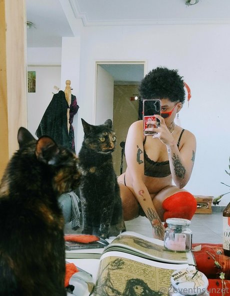 zeventhsunzet model img