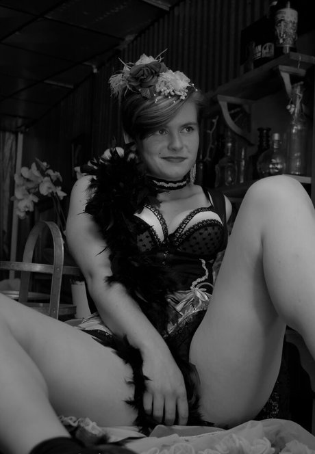 cinnamomum nice pornstar galleries