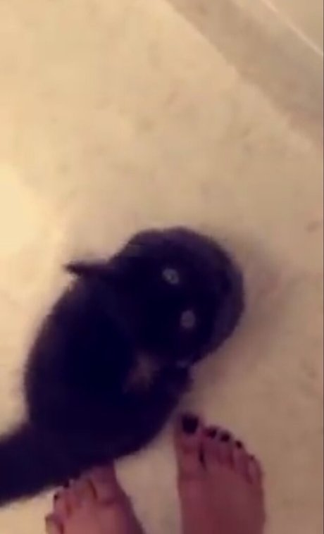 Trickywi pornstar picture