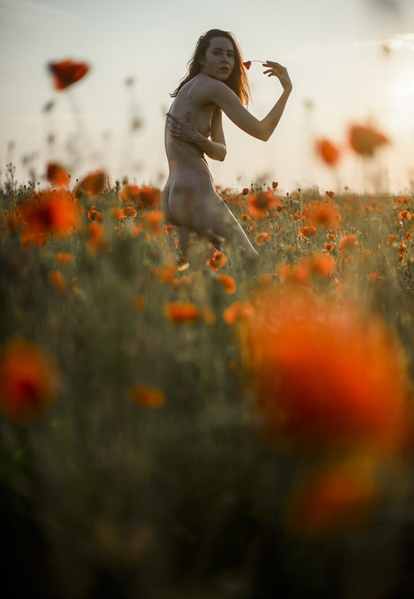 Just Marine perfect actress gallery