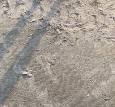 Bella Casada star nude gallery