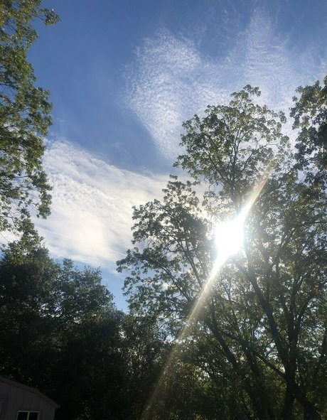 vaginal solo pornstar nice pics