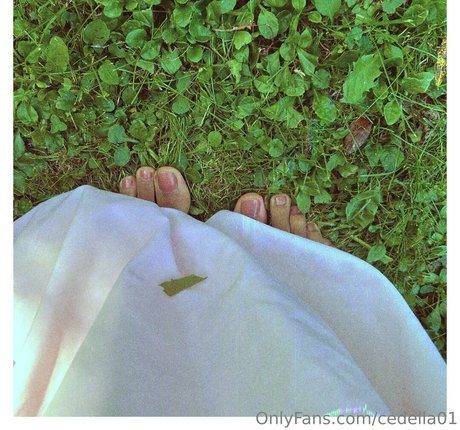 cedella01 xxx actress img