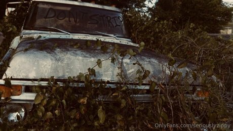 seriouslyzippy hd actress pics