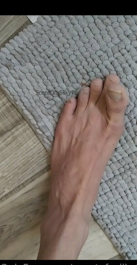 scentofasilkytoe Profile pic