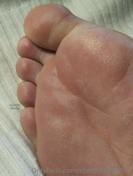 scentofasilkytoe pornstar exclusive picture