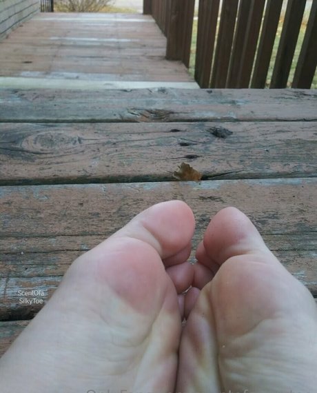 scentofasilkytoe model porn pic