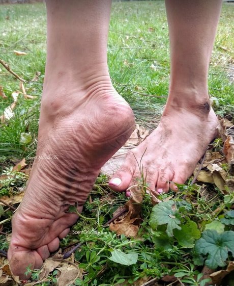 scentofasilkytoe nude pornstar pics