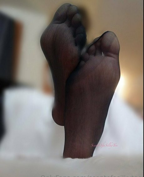 scentofasilkytoe free model archive