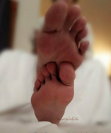 scentofasilkytoe star sex galleries