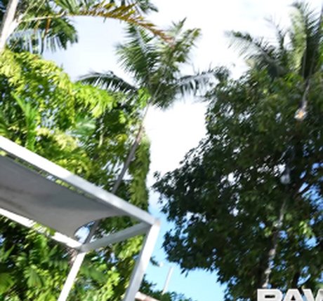 Lucky B Dallas nice star pics