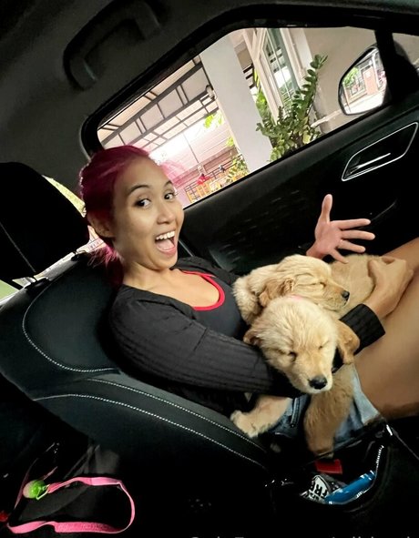 wildcmk perfect star photo