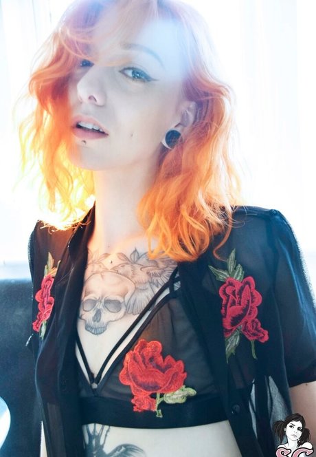 Neomabell star hd archive