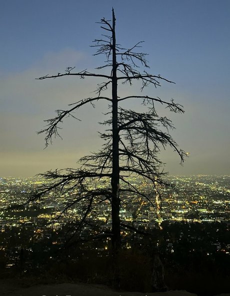 austinsummersnow model archive