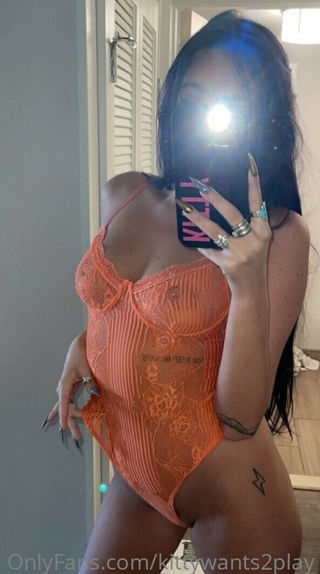 Disko kitty perfect star archive