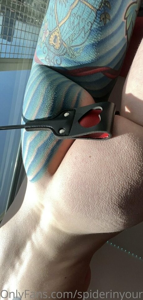 spiderinyourgarden pretty star pictures