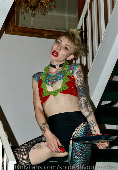 spiderinyourgarden model high quality picture