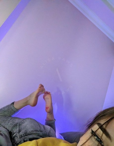 Alisa Paws art star archive