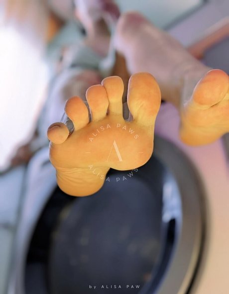 Alisa Paws sexy star pic