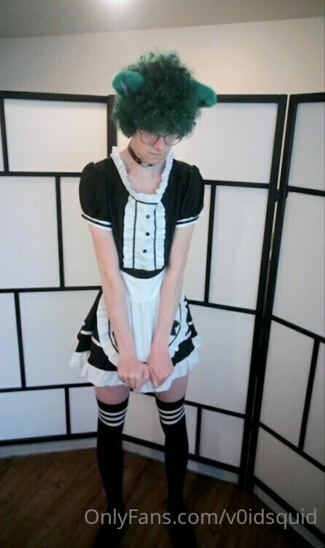 camryncorder model pic