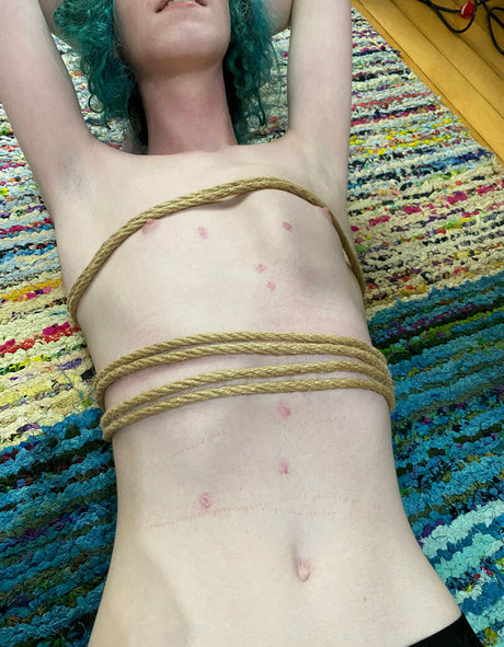 camryncorder star pretty picture