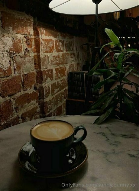 sunny bunny xx pornstar best img