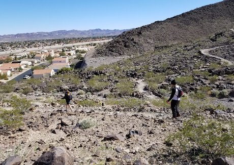 mialelanixxx sex actress picture