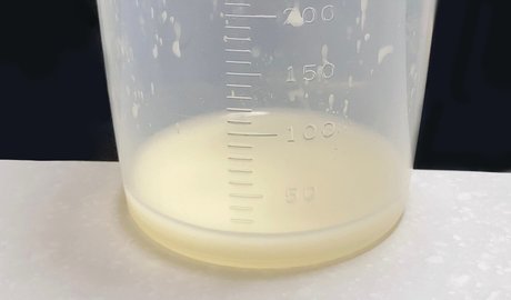 Karazu karazu model sexy gallery