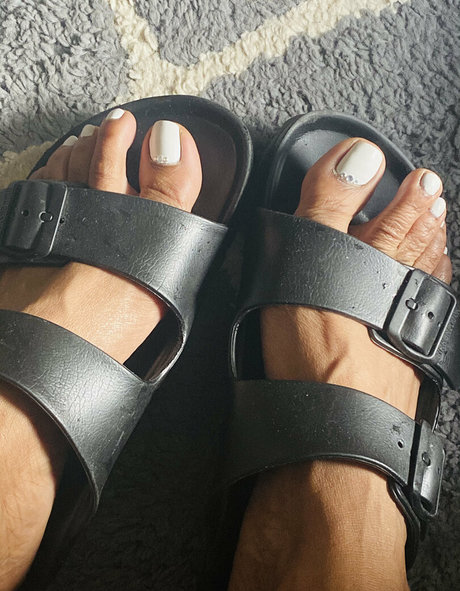 vee feet high quality star galleries