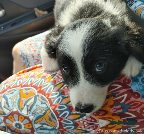 theladylayla perfect pornstar photo