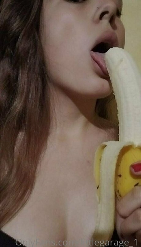 littlegarage 1 star best pic