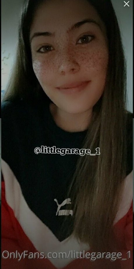 littlegarage 1 adult model picture