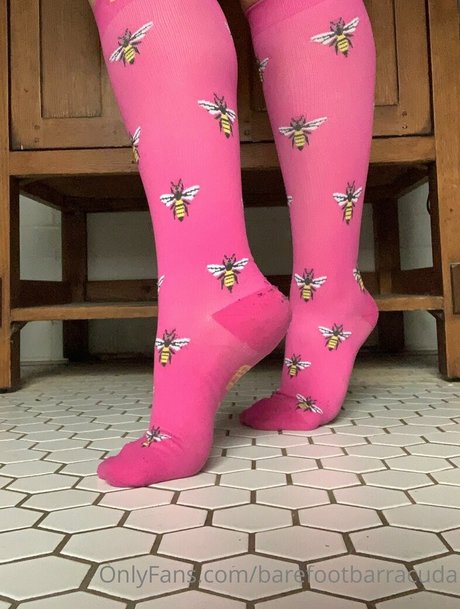 barefootbarracuda pornstar pretty picture