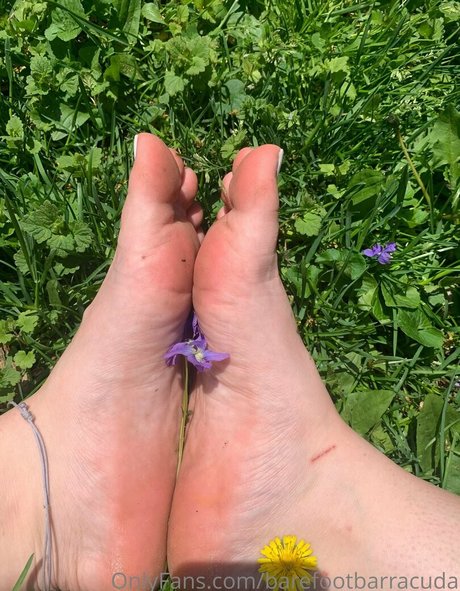 barefootbarracuda pornstar erotic img