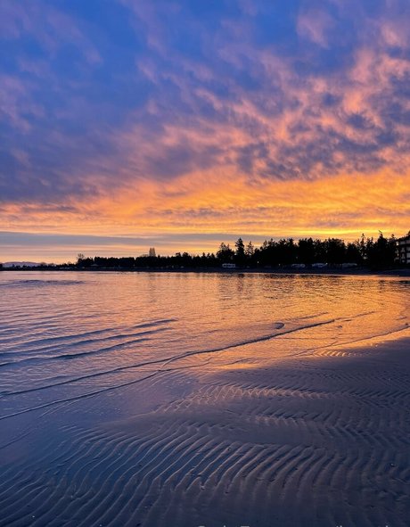 jnorthx exclusive star galleries