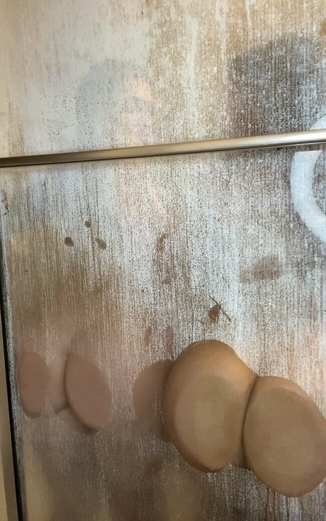 littlelanacat Profile pic