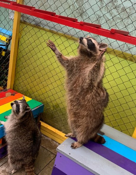 skyrror erotic model images