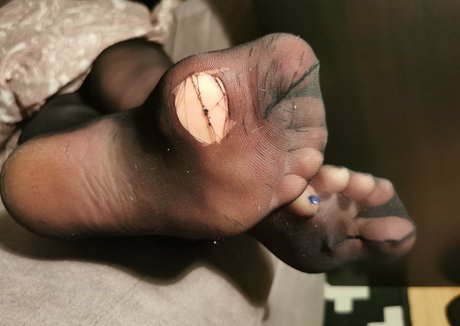 higharches bella pornographic actress galleries