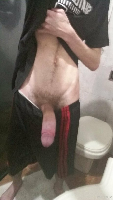 rnt23cm model nice img