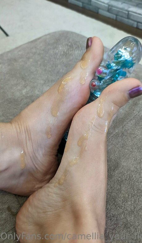 camellia home model img