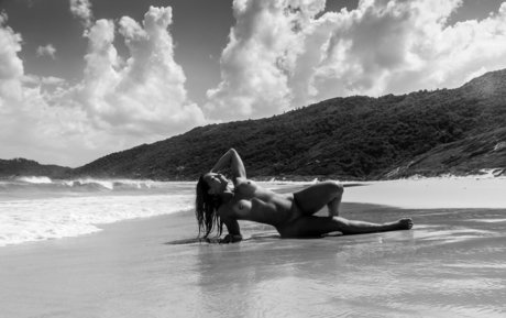 Pedro Nossol adult actress img