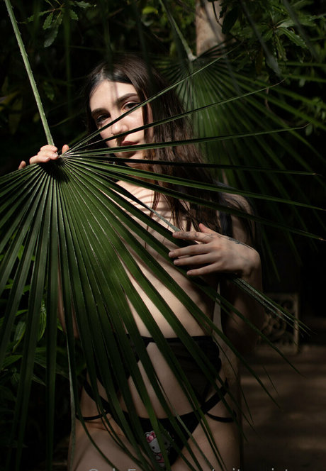 baby and dollyy star nude photo