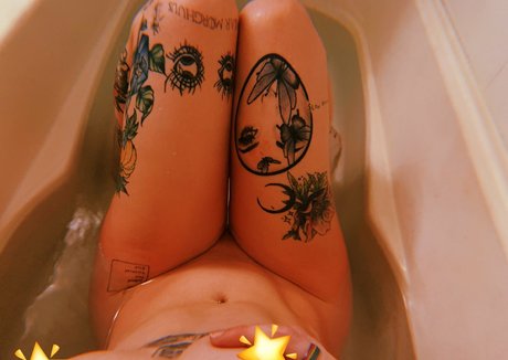 Indoor wilding star free galleries