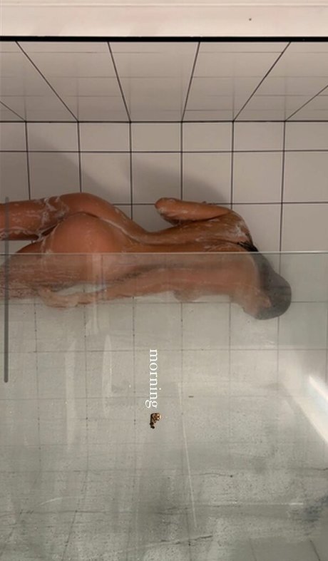 an stasiia nice model archive