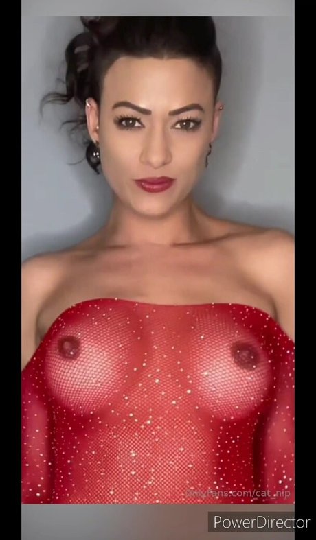 Cat nip Faith sexy star images